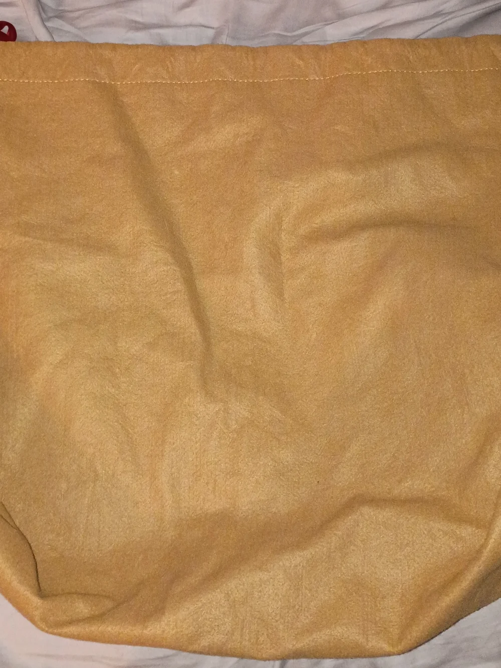 Louis Vuitton Tan Dust Cover with LV Monogram